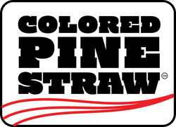 Colored Pine Straw
